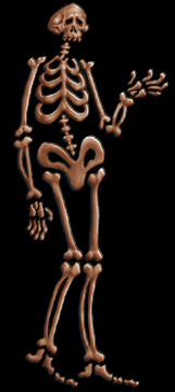 Crist Ballas skeleton logo - Gallery